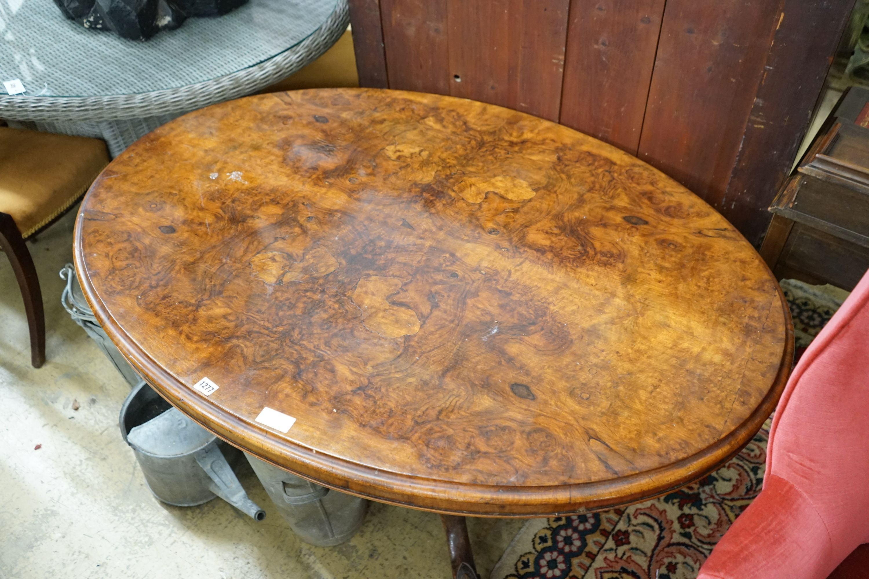 A Victorian oval burr walnut tilt top loo table, length 134cm, width 100cm, height 72cm